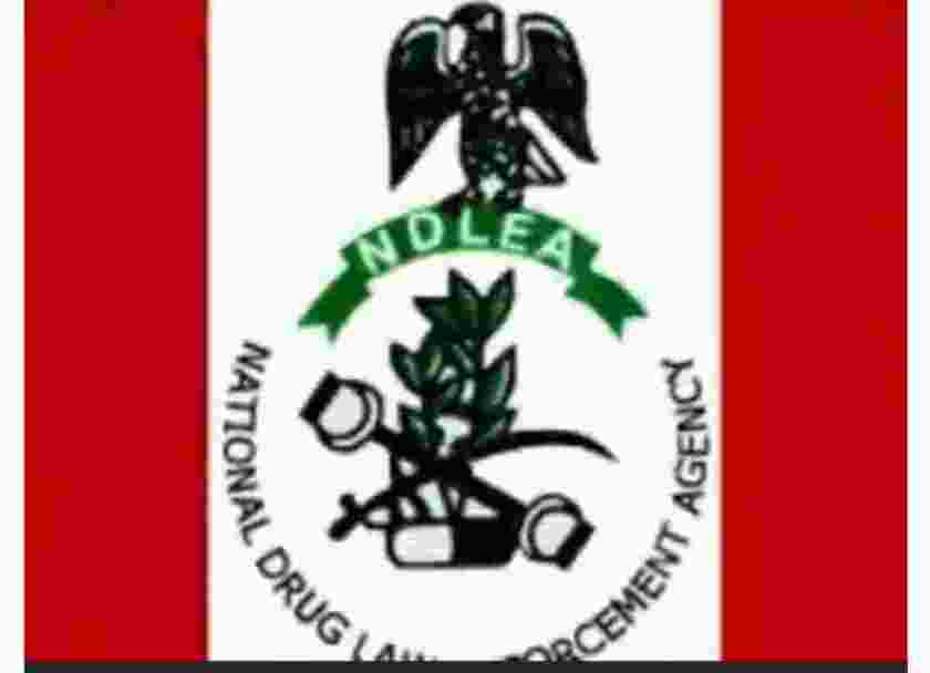 ndlea-reco_1612926155V9JtOz.jpeg